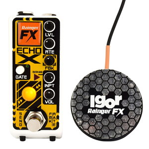 Rainger FX Echo X Q[gڃfW^fBC