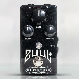 Fortin Amplification ZUUL+