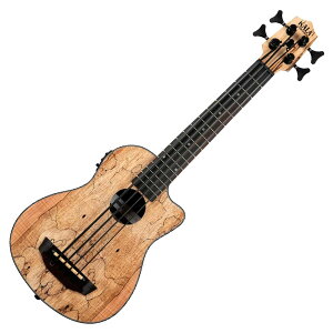 KALA UBASS-SP-MAPL-FS J EN x[X