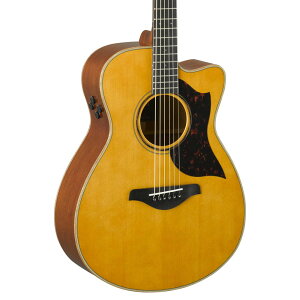 YAMAHA AC3M ARE VN }n AR[XeBbNM^[ AV[Y