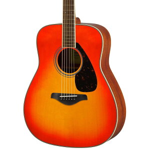 YAMAHA FG820 AB }n AR[XeBbNM^[ FGV[Y