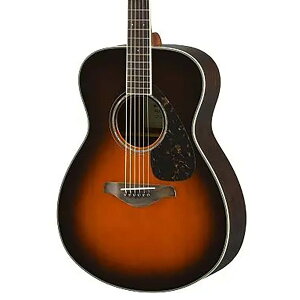 YAMAHA FS830 TBS }n AR[XeBbNM^[ FSV[Y