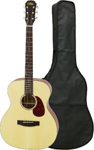 Aria 100 series Aria-101 MTN AA AR[XeBbNM^[y\tgP[Xtz