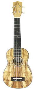 DCT Japan UKULELE EN UKS-2170y\tgP[Xtz
