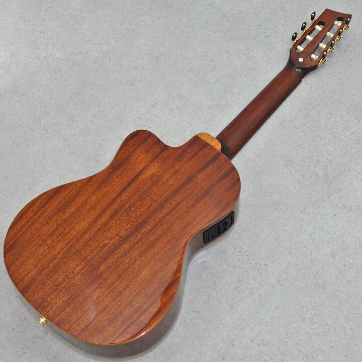 楽天市場】ELK GUT 7 II Natural : ミュージックランドKEY WEST