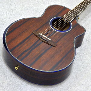 ELK AO-6 Ebony yƂꂵANZT[ v[gtFAIz