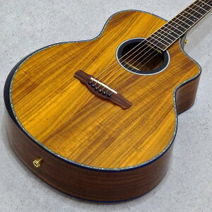 ELK AO-6 Koa yƂꂵANZT[ v[gtFAIz