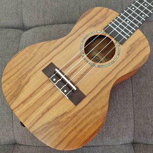 ELK ELKLE Concert GN GNgbN EN RT[gTCY yƂꂵANZT[ v[gtFAIz