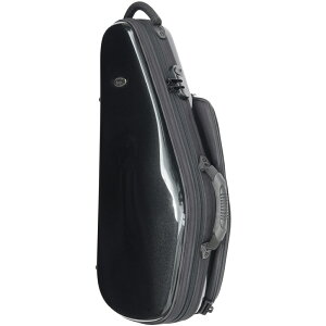 bags EFAS M-BLK (^bNubN) AgTbNXpP[X