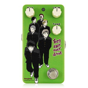 ANIMALS PEDAL Custom Illustrated / MAOD �r�̖ځB Teen Ager Over Drive