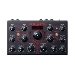 Erica Synths ECHOLOCATOR Erica Synths × 112dB.com