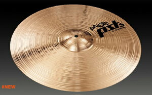 PAiSTe PST 5 Medium Ride 20�� �p�C�X�e �V���o��