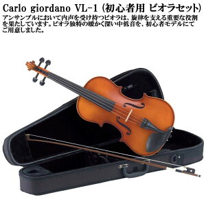 カルロジョルダーノ ビオラ」の人気商品一覧 | 安い商品を通販サイト 