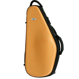 bags EFAS M-GOLDi^bNS[h) AgTbNXpt@Co[P[X