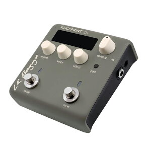 L.R.Baggs VOICEPRINT D.I.