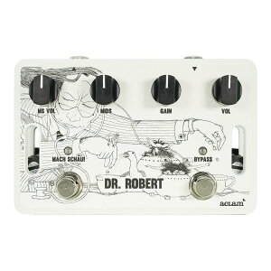 Aclam Guitars Dr. Robert v2 ANM^[Y / hN^[o[guCc[