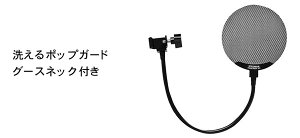 STEDMAN Proscreen101