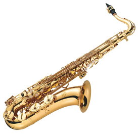 【メーカー3年サポート付き】J.Michael TN-900 テナーサックス 管楽器 木管楽器