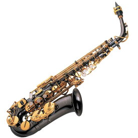 【メーカー3年サポート付き】J.Michael AL-900Bアルトサックス 管楽器 木管楽器