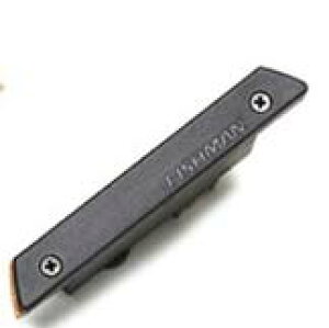 FISHMAN Rare Earth Humbucking Pickup (RRO-REP-102) レア・アース サウンドホール・ピックアップ