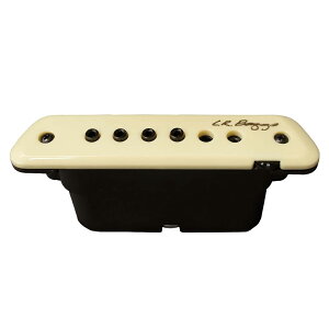 L.R.Baggs M1 Active ARMp sbNAbv