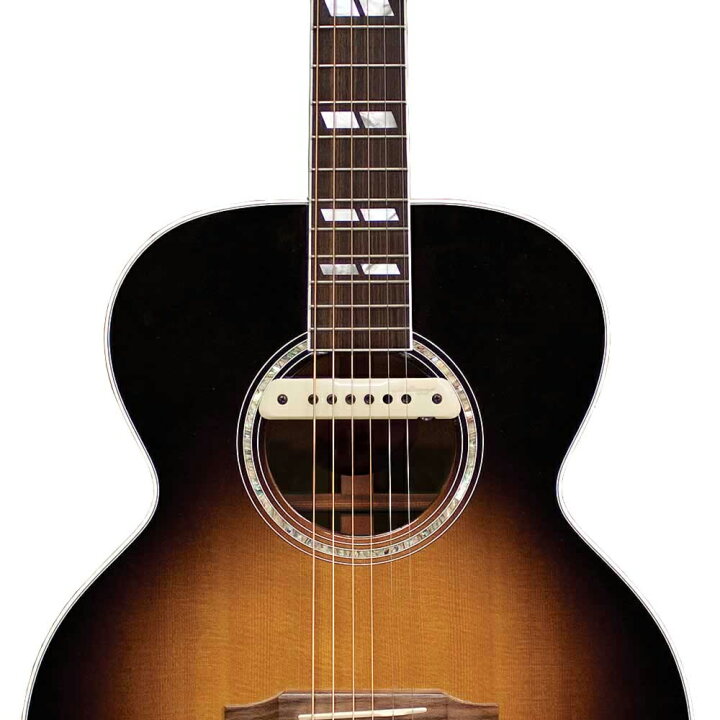 楽天市場】L.R.Baggs M1 Active アコギ用 ピックアップ : MUSICLAND 