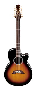Takamine PTU141C-12