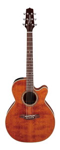 Takamine PTU531C