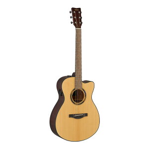 YAMAHA TAS1 C NT