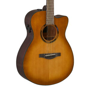 YAMAHA TAS1 C SDB