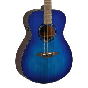 YAMAHA TAS1E UM