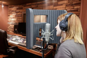 Primacoustic VoxGuard VU