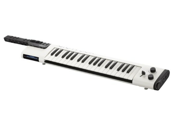 楽天市場】YAMAHA VKB-100 Vocaloid Keyboard 専用ソフトケース 