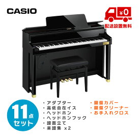 CASIO GP-510BP お手入れ用品付き11点セット (標準配送設置無料)