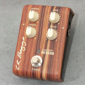 L.R.Baggs Align Series REVERB