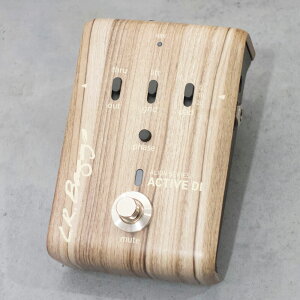 L.R.Baggs Align Series ACTIVE DI