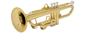pInstruments �v���X�`�b�N���g�����y�b�g PTRUMPET1HTG Gold�y��p�P�[�X�t���z