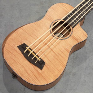 DCT Japan ENx[XUKB-250 FM Cutawayy\tgP[Xtz