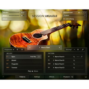 Native Instruments Session Ukulele [���[���[�i]