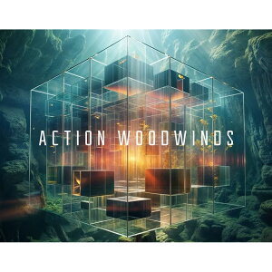 Native Instruments Action Woodwinds [���[���[�i]