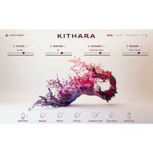Native Instruments Kithara [���[���[�i]
