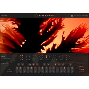 Native Instruments Leap Expansion - Hot Vocals [���[���[�i]