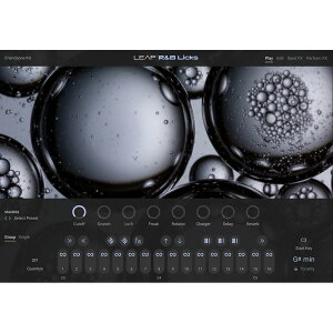 Native Instruments Leap Expansion - R&B Licks [���[���[�i]