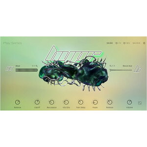 Native Instruments Leap Expansion - R&B Licks [���[���[�i]