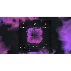 Native Instruments Scene: Lotus [���[���[�i]