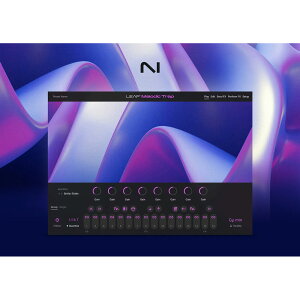 Native Instruments Leap Expansion - Melodic Trap [���[���[�i]