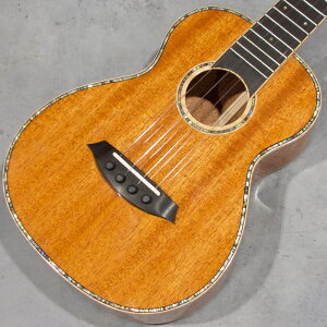 DCT UKULELE EN DCT DC-02y\tgP[Xtz