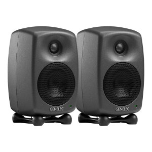 GENELEC 8020DPM �_�[�N�O���[ (�y�A)