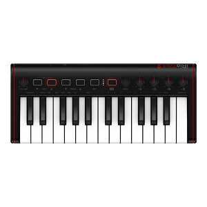 IK Multimedia iRig Keys 2 Mini (25~jTCY)