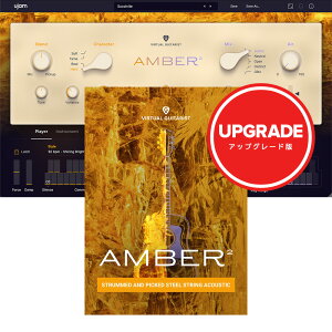 UJAM Virtual Guitarist AMBER 2 �A�b�v�O���[�h [���[���[�i]